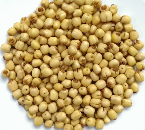 Dried Lotus Seed - Trái Cây, Hoa Quả Sấy Minh Huy Foods - Công Ty TNHH Nông Sản Thực Phẩm Minh Huy Foods